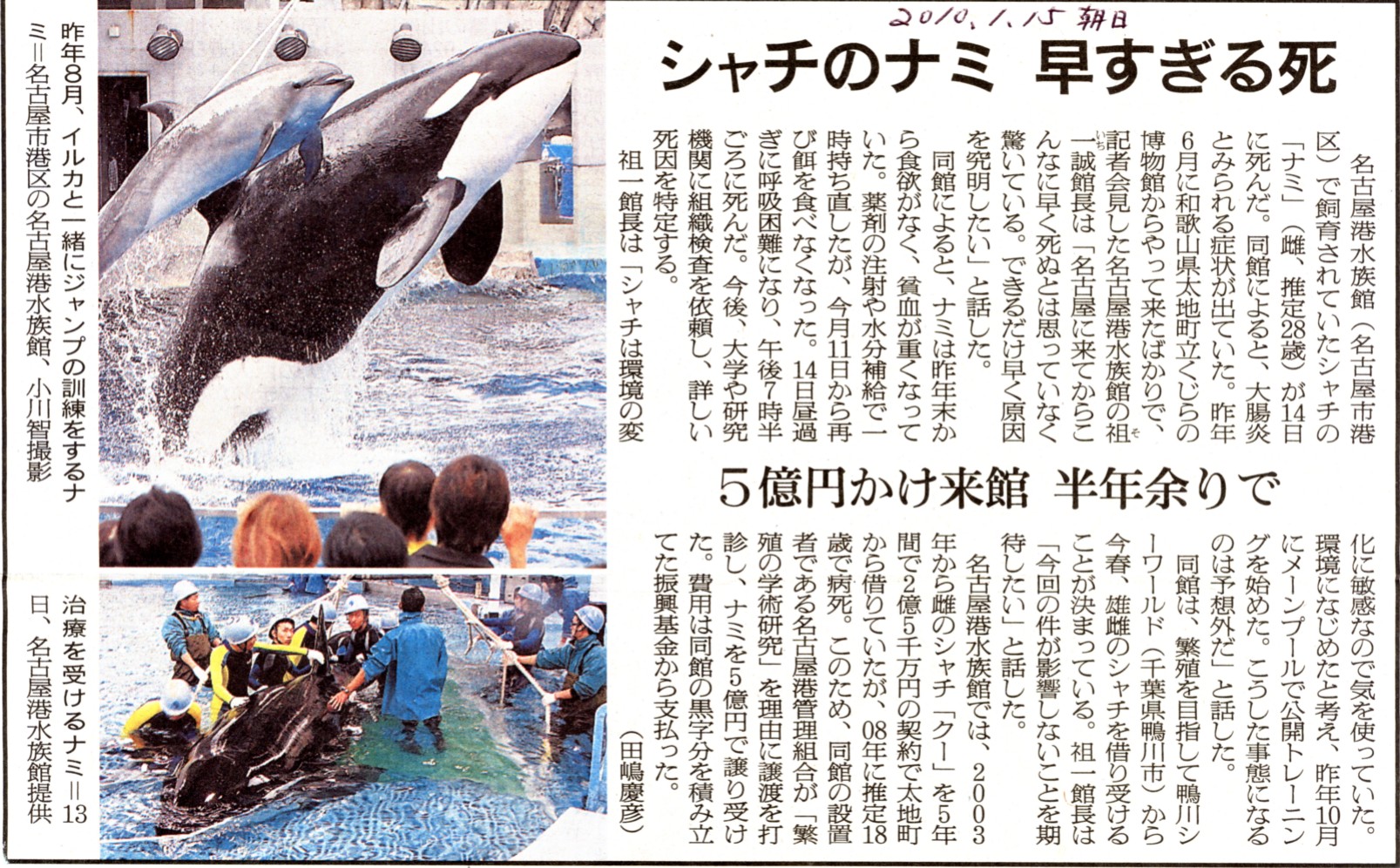 事故 シャチ 日本の水族館ではシャチと飼育員が泳いでいますが良いのですか。アメリカでも